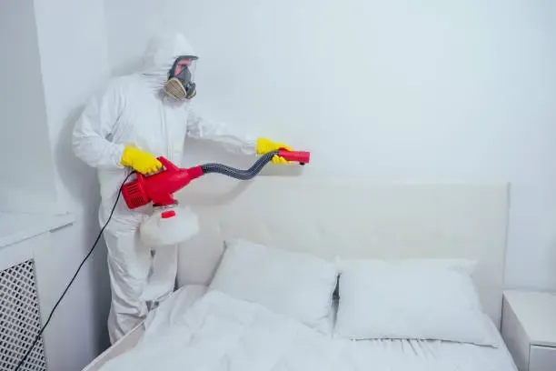 anti-plagas-servicios-anti-chinche