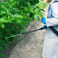 asesoría-y-formación-anti-chinche