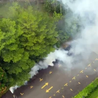 tratamientos-eco-amigables-anti-chinches