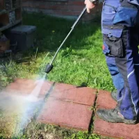 innovación-servicio-anti-chinches innovación-servicio-anti-chinches